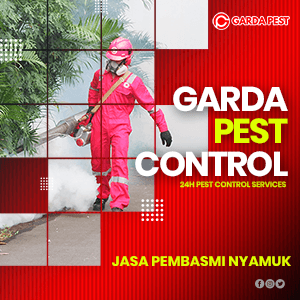 Jasa Pembasmi Nyamuk