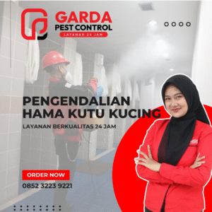 Layanan Penghilang Kutu Kucing di Malang oleh Garda Pest Malang