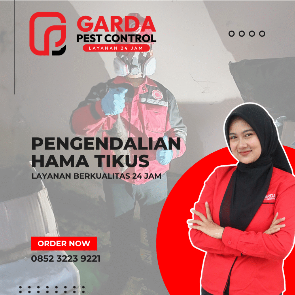 Jasa Pembasmi Tikus di Malang Bisa Pengerjaan Malam