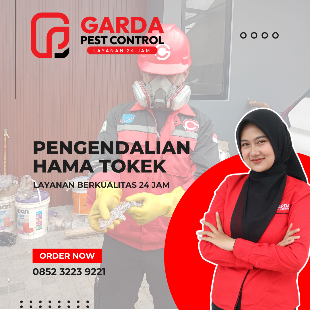 Jasa Pembasmi Tokek di Malang Raya – Pest Control Terbaik No.1 Bergaransi
