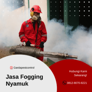 Ahli Fogging di Malang