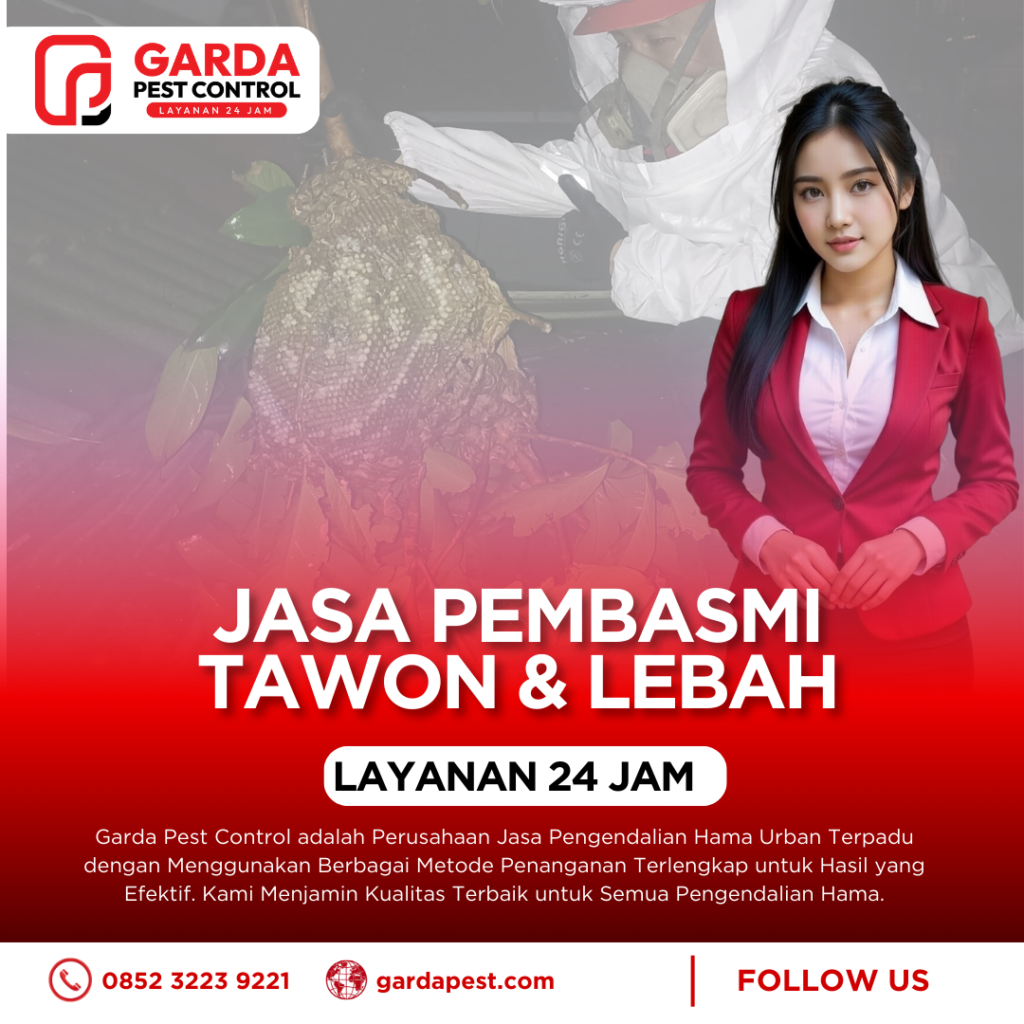 Jasa Pembasmi Tawon di Malang Plus Pembersihan Sarang