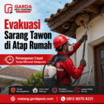 Jasa Pembasmi Sarang Tawon di Malang dan Panduan Penanganannya