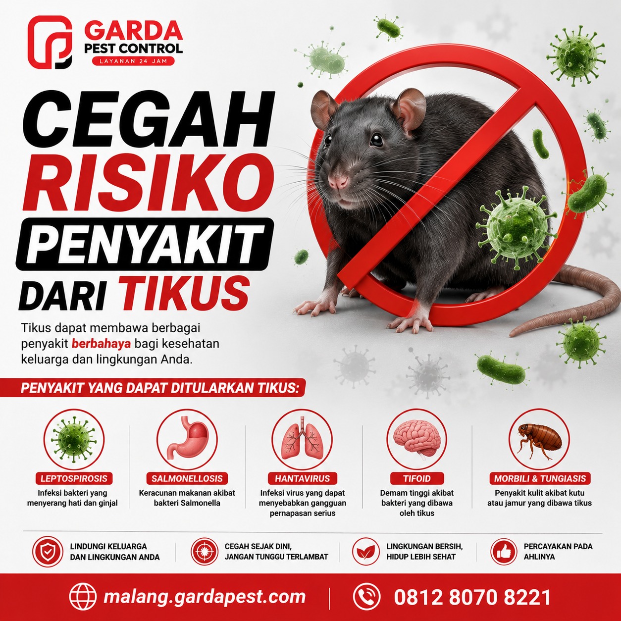 Jasa Pembasmi Tikus Profesional Malang: Agata Pest Control untuk Lingkungan Bersih