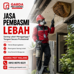 Jasa Pembasmi Tawon Malang Berpengalaman dan Penanganan Cepat