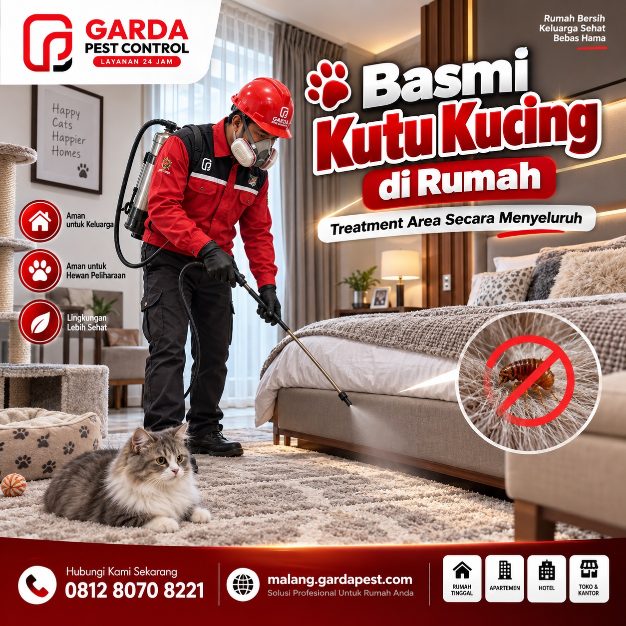Biaya Jasa Pembasmi Kutu Kucing di Malang Terlengkap