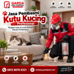 Jasa Pembasmi Kutu Kucing Profesional